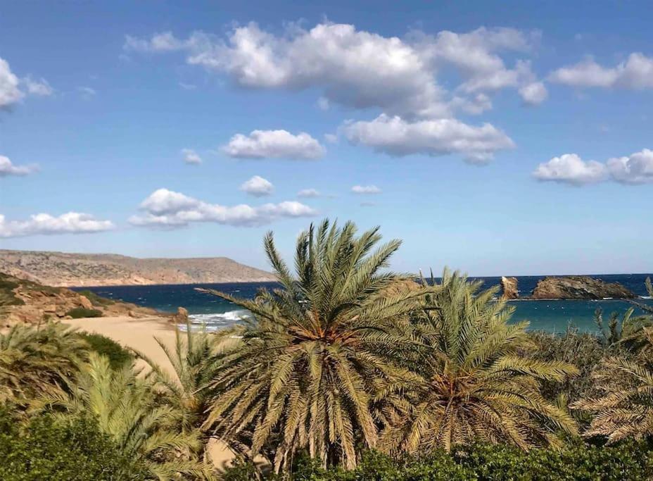 Kalithea Studio 1 باليكاسترون المظهر الخارجي الصورة